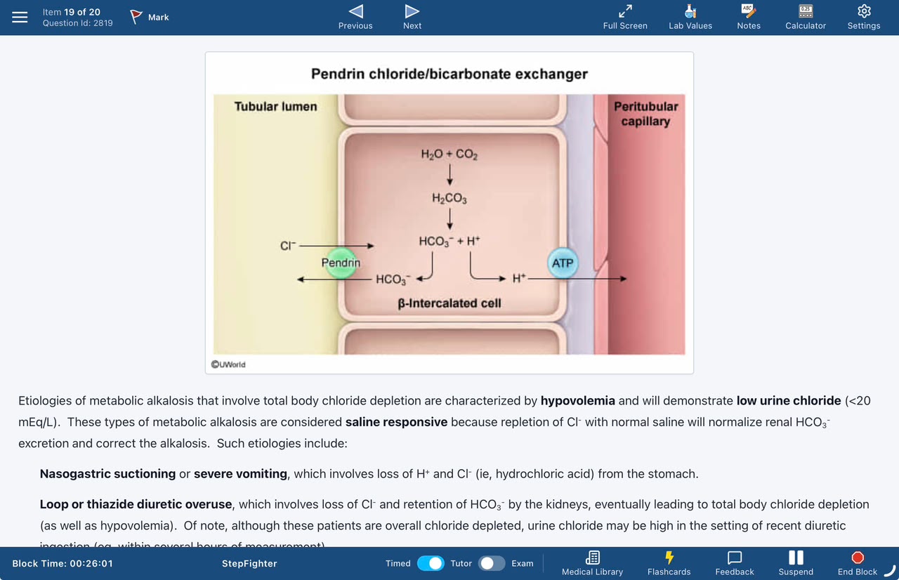 StepFighter Tutor mode with diagram and explanation